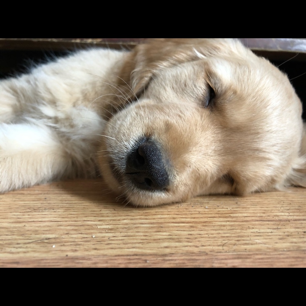 Meet your Posher, Hope